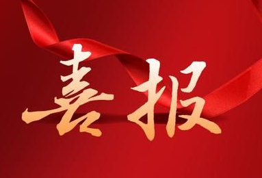 喜报！副会长单位CJT长江连接器获得深圳市专精特新中小企业称号