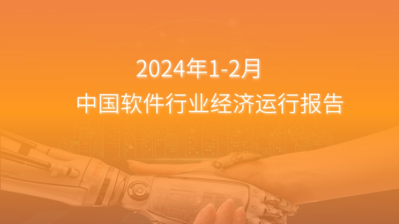 2024年1-2月中国软件行业经济运行报告（附全文）